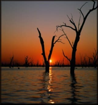 Sunset over Lake Mulwala, with bare trees standing in the water