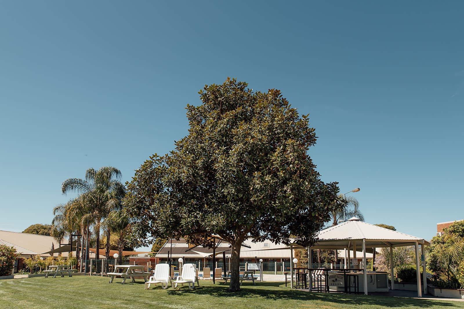 Large shade tree, gazebo and sun loungers on the resort lawn