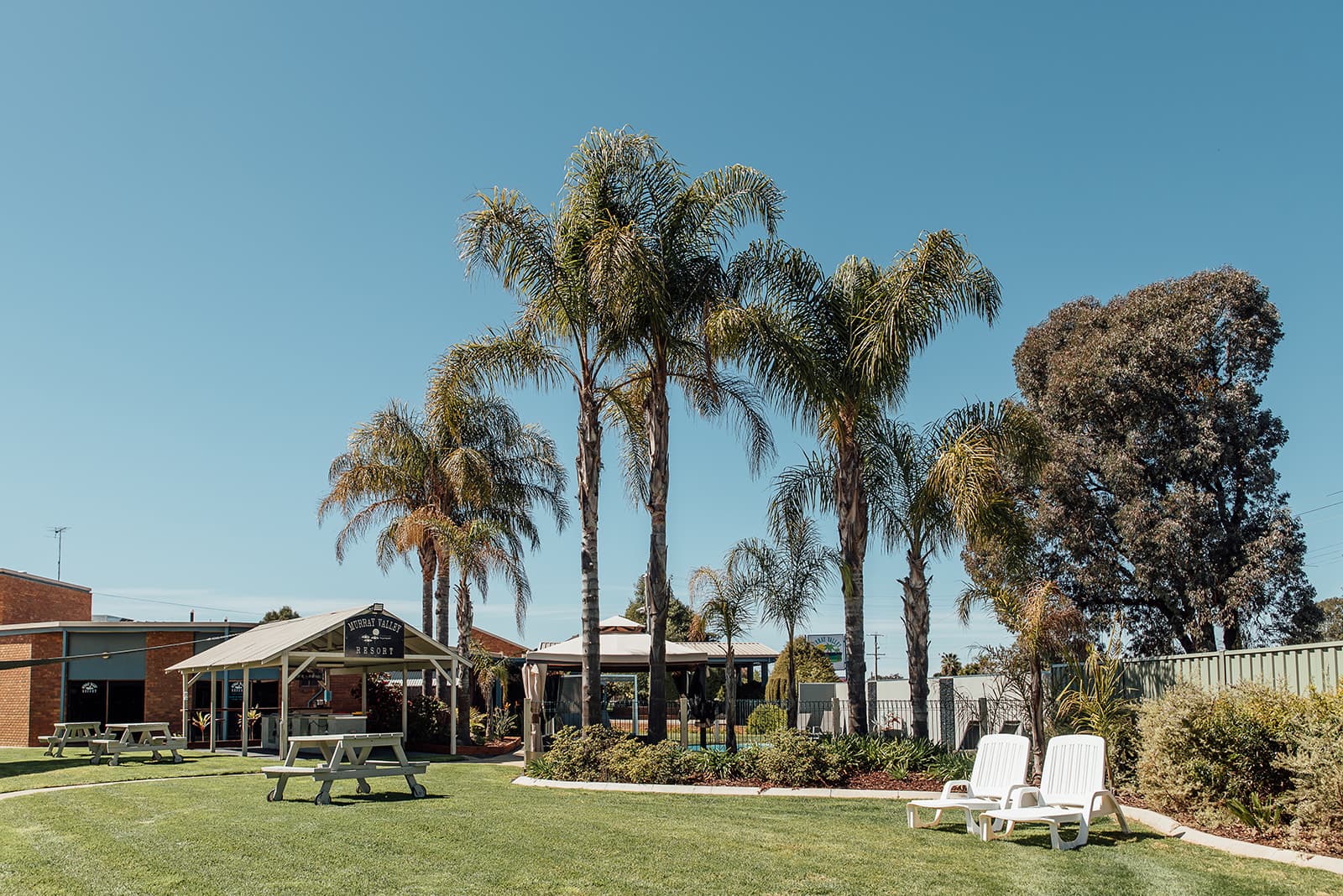 Palm trees, a picnic table and sun loungers on the lawn
